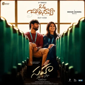 Okka Chinni Navve